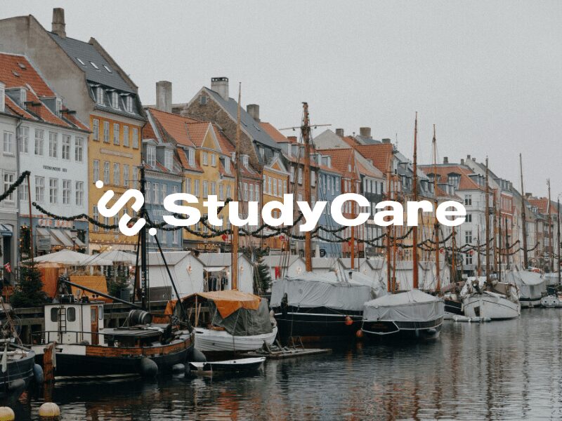 Financování a Náklady - Studium v Dánsku Náklady v Dánsku