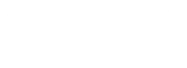 InHolland University of Applied Sciences