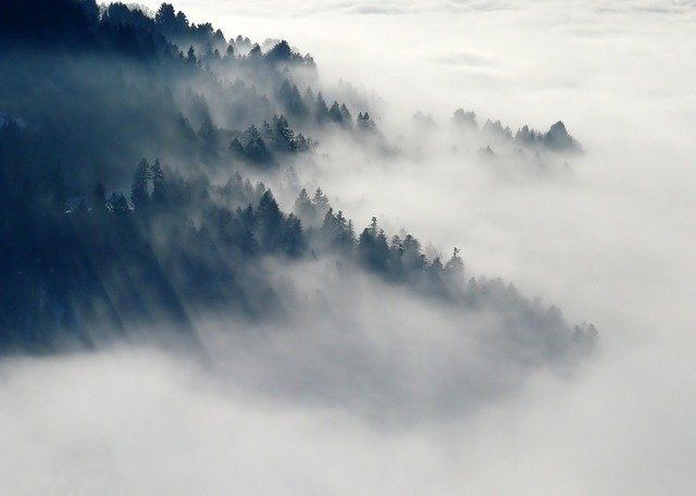 Nizozemské počasí je jako randit s dívkou Krajina zahalená v mlze