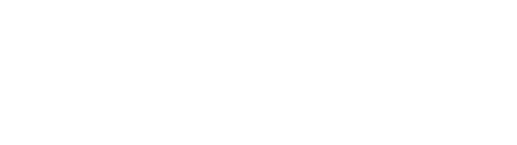 The Hague University of Applied Sciences | Studium v Nizozemsku The Hague University of Applied Sciences